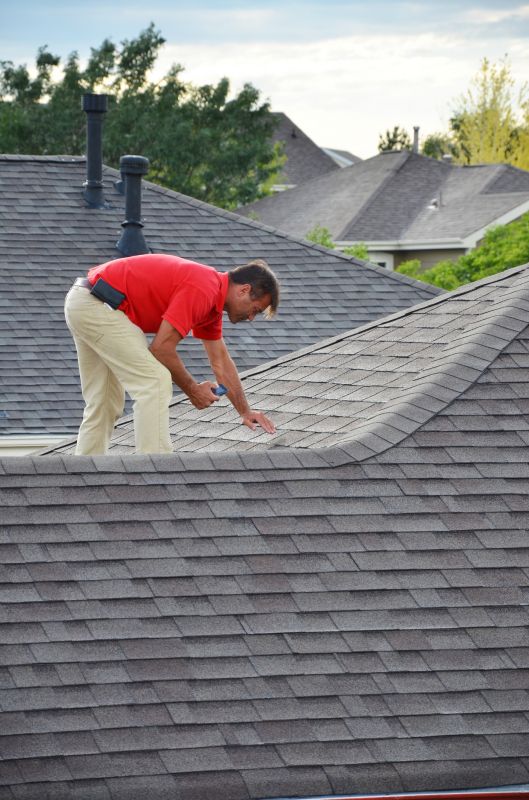 Skilled Roofing Professional